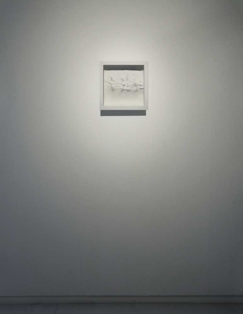 Rise, 2013
