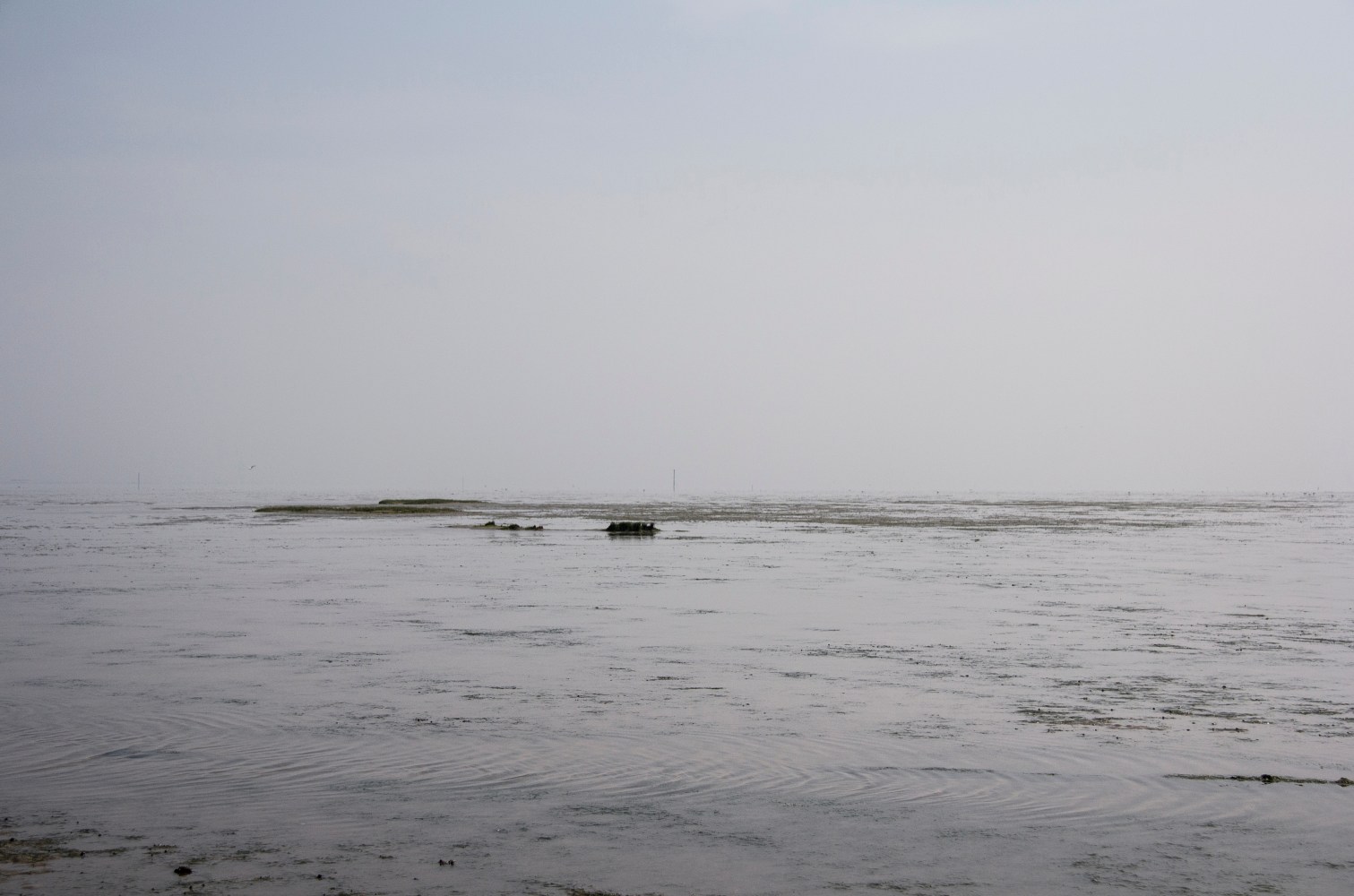 ESE51.5400, 2018

Pigment print on Hahnemuhle paper

16 3/4&amp;rdquo; x 23 1/2&amp;rdquo;&amp;nbsp;