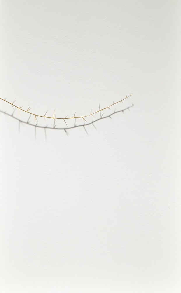 Golden Thorn, 2004
20 karat gold and acrylic
26" x 16" x 3"
