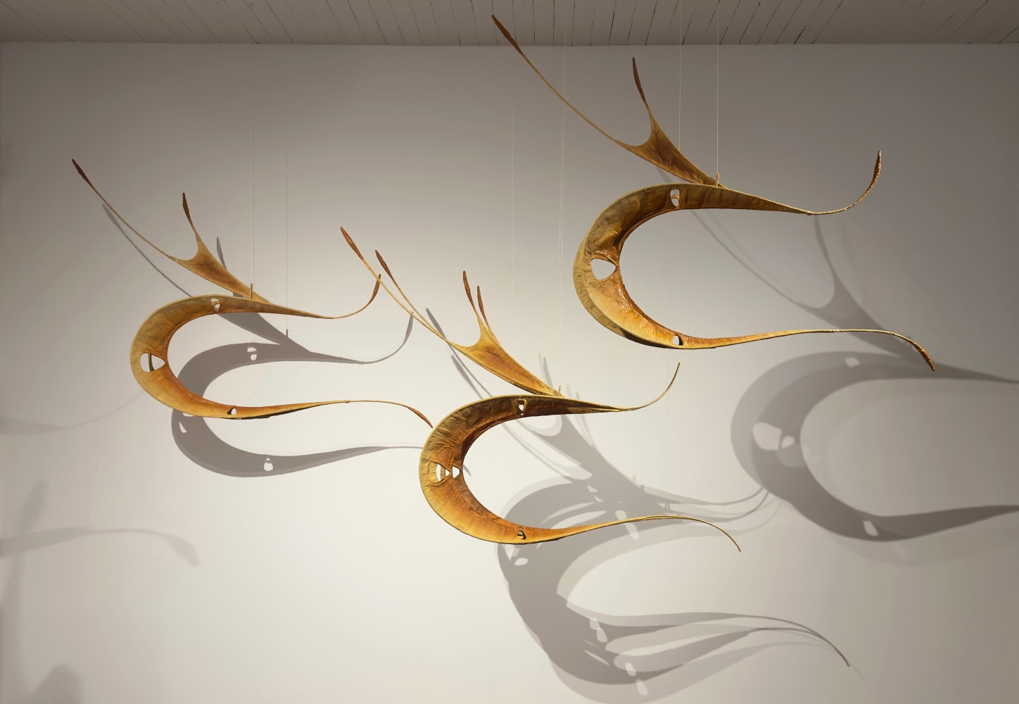 Flame | 2023
Stainless steel, muslin and lacquer
134” x 73” x 42” (Variable) 
TG 5005