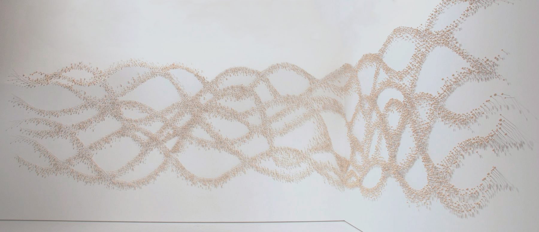 Touch Me Not, 2006-2007