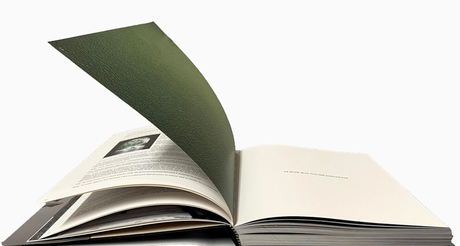 ALWAR BALASUBRAMANIAM