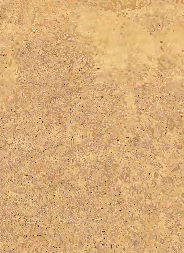 Da Vinci, 2010

C &amp;ndash; Print

17&amp;quot; x 13&amp;quot;