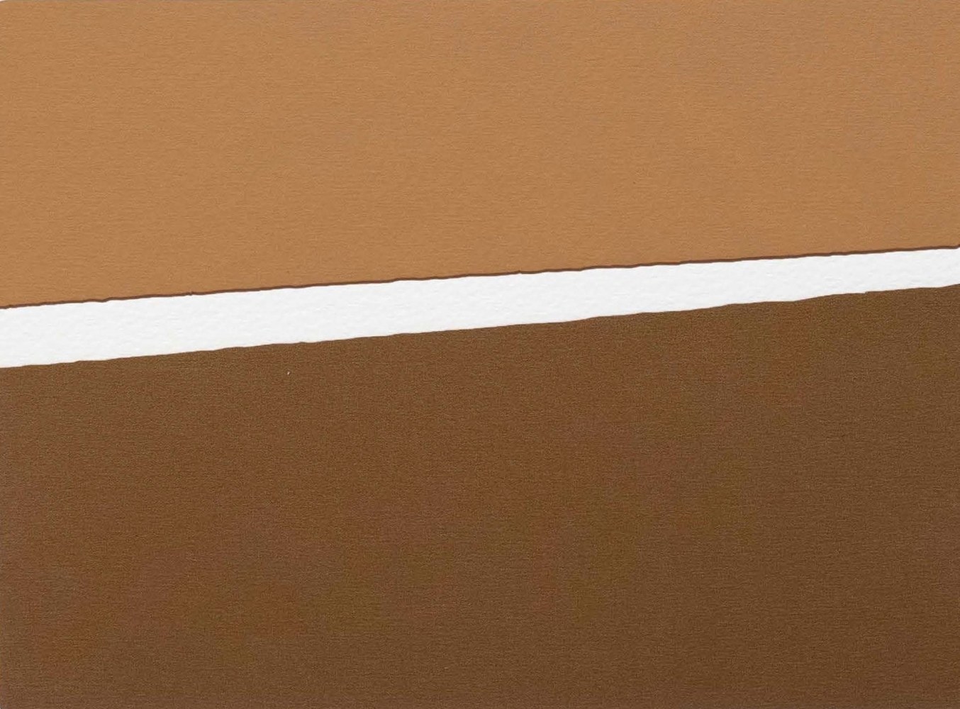 ALWAR BALASUBRAMANIAM
L.S. IV (Detail)