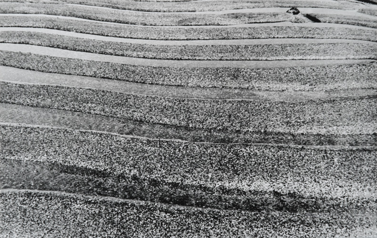 Nasreen Mohamedi
Untitled, ca. 1975 | 2003
Black and white photograph
9 1/2" x 15"
TG 1127