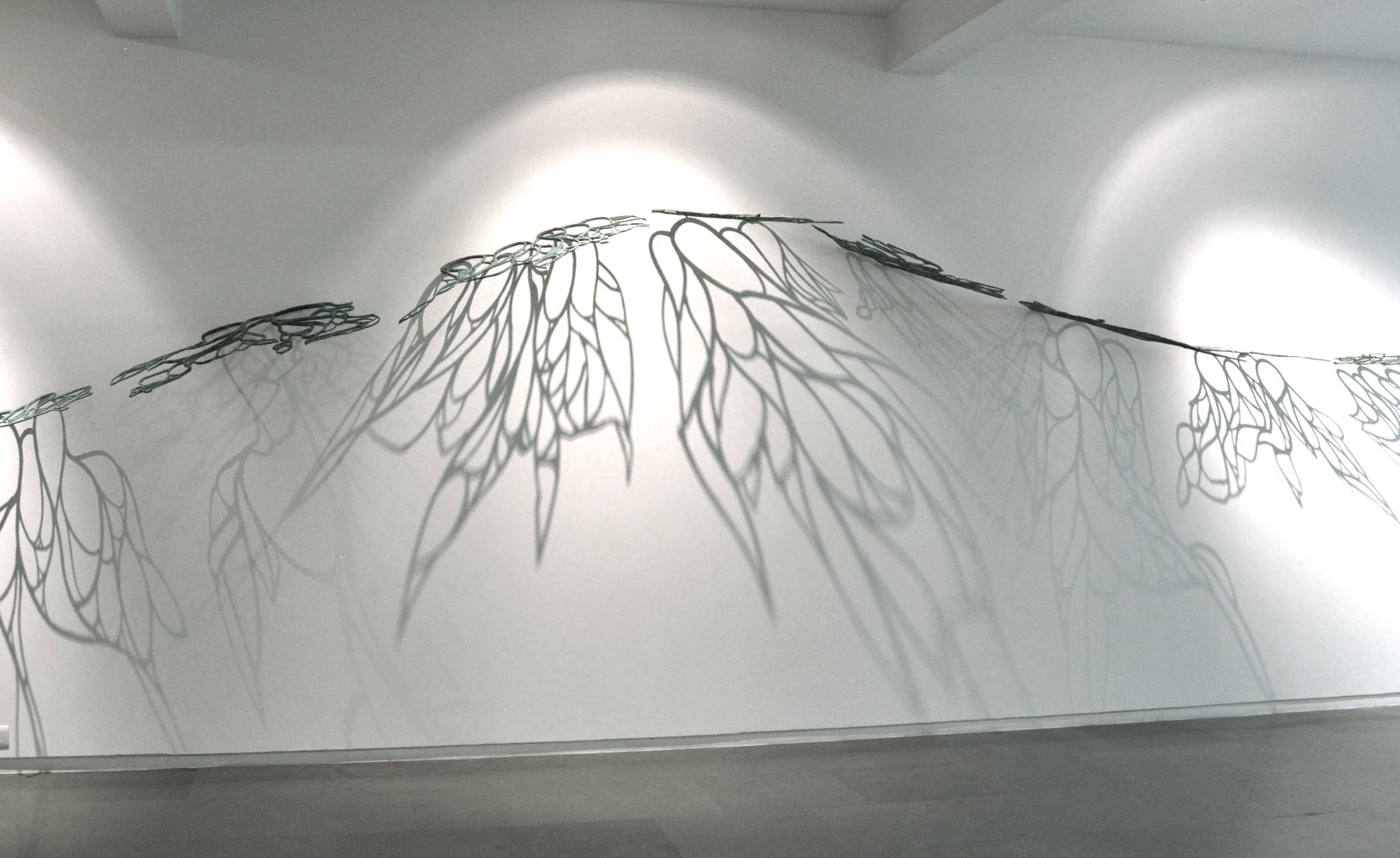 Aureole, 2010