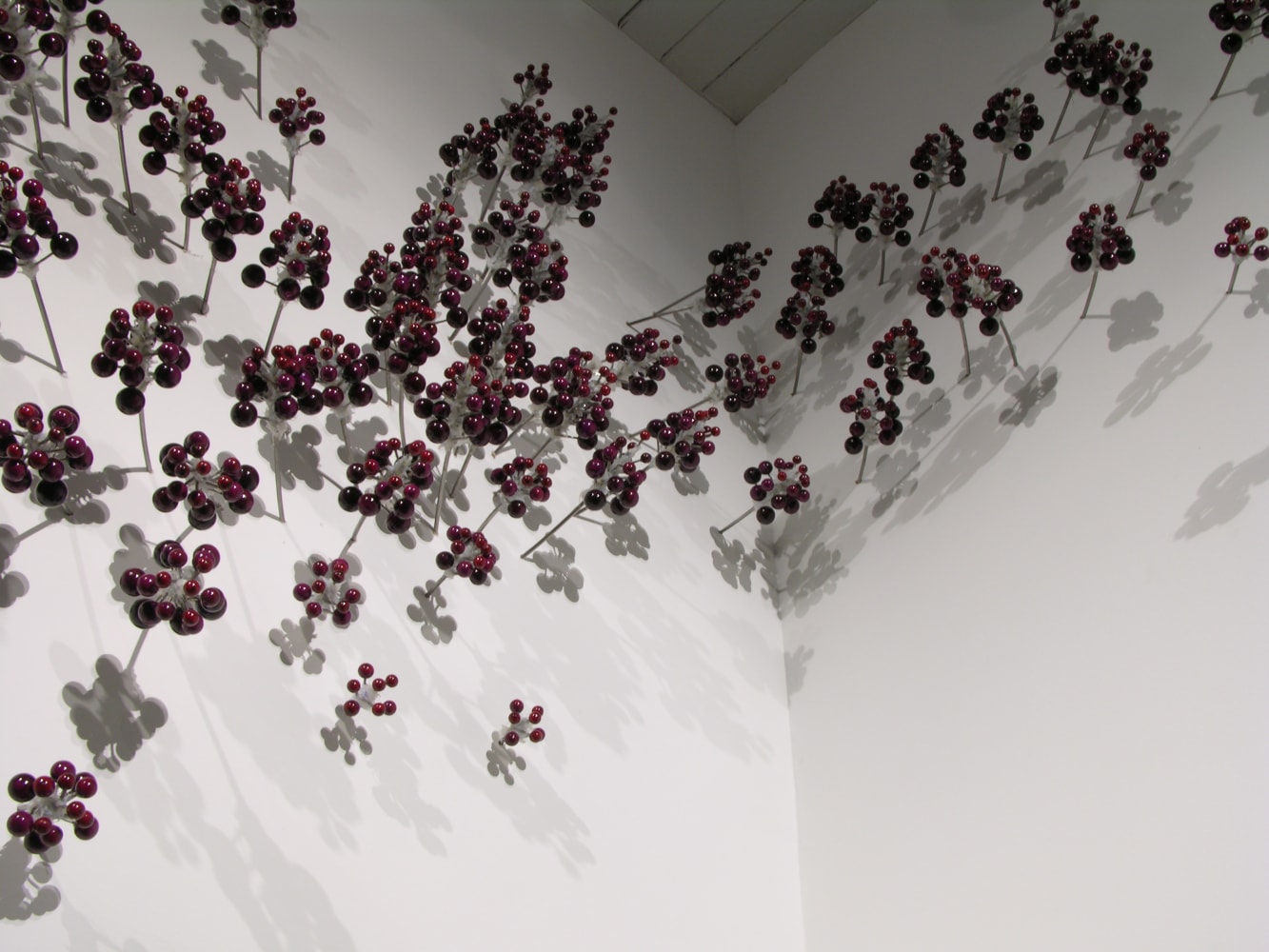 Ranjani Shettar
MAYA (Detail)