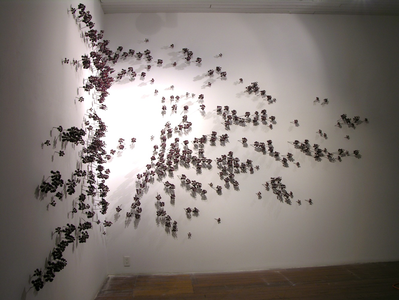 Ranjani Shettar
MAYA, 2005