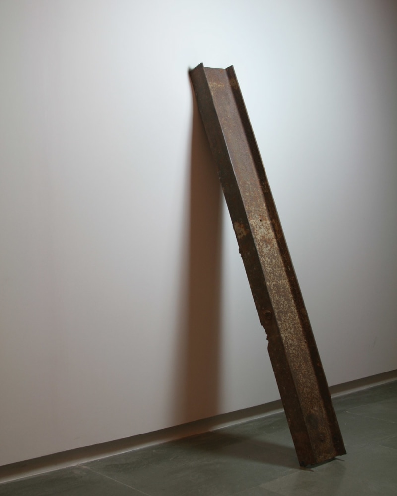 Untitled, 2006
Iron, fiberglass and acrylic
22” x 64” x 21”