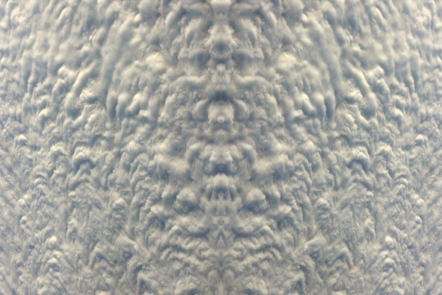 Divine5869, 2007
C Print
15 3/4" x 23 1/2"