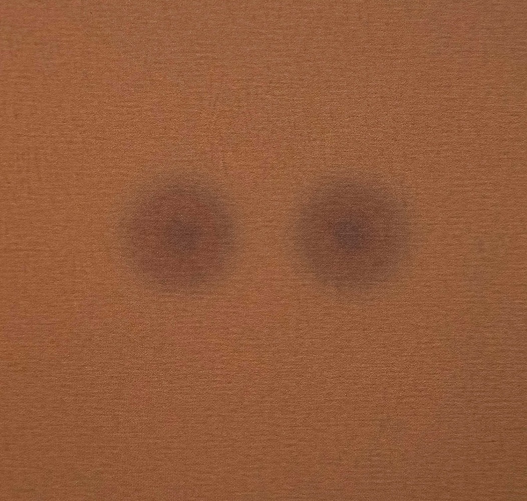 Alwar Balasubramaniam
L.S. V, 2021 (Detail)