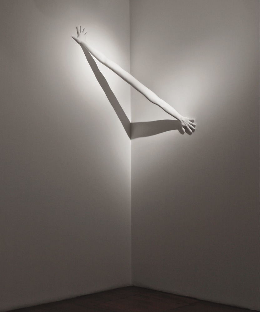 Outreach, 2008
Fiberglass and acrylic
46" x 64" x 24"
