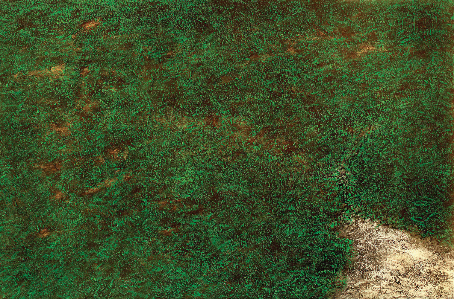 Untitled, 2013
Oil on canvas, 48" x 72"