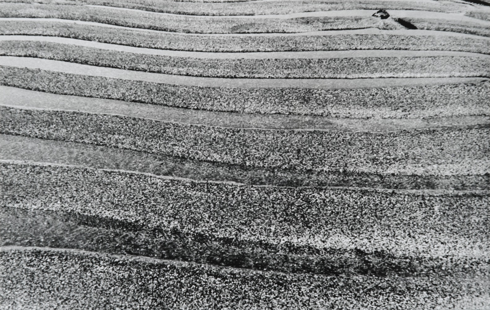 Untitled | ca. 1970
Black and white photograph
9.4" x 15" | Framed: 16.5" x 21.75"
TG 2629