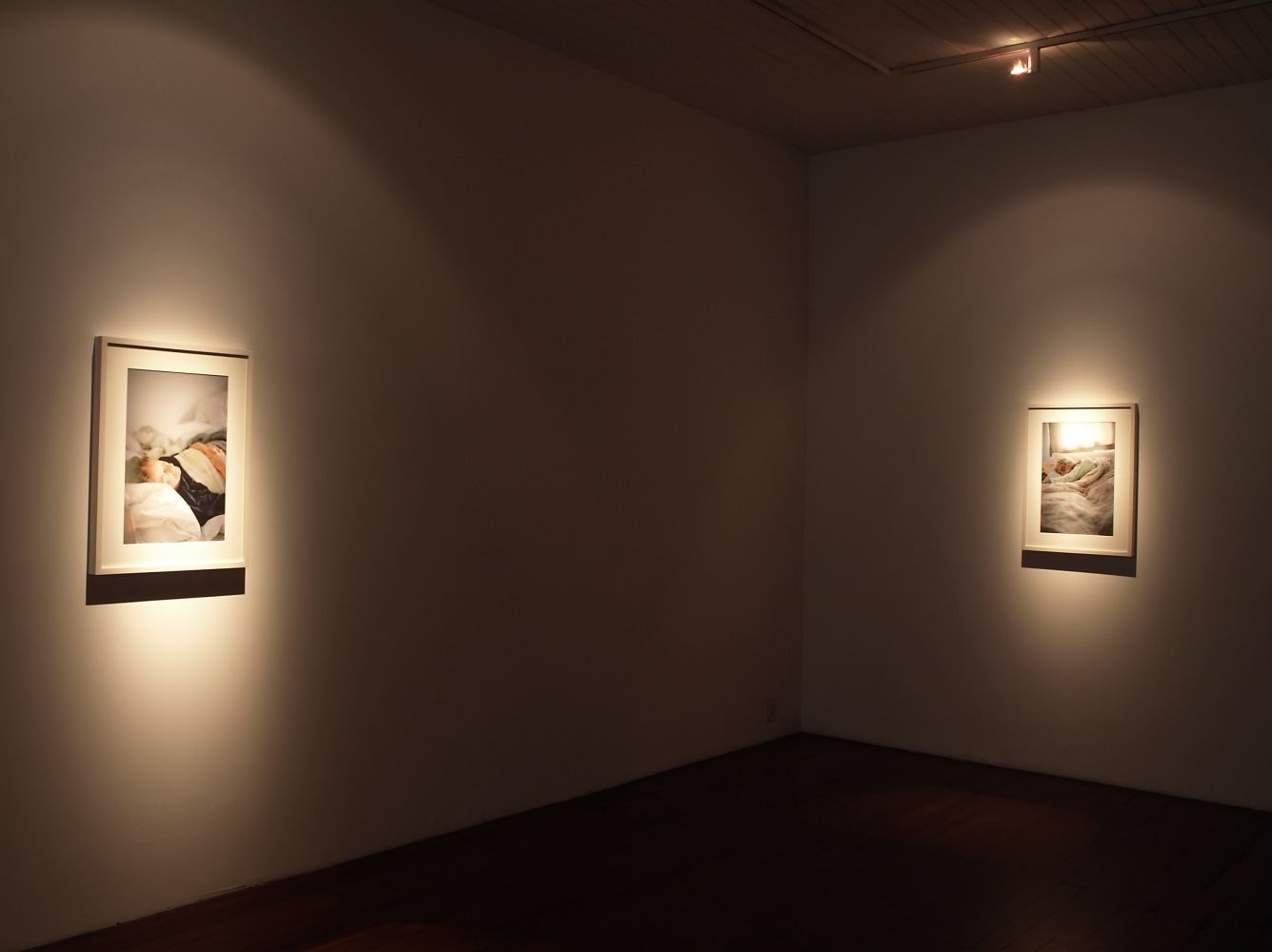 Exhibition View