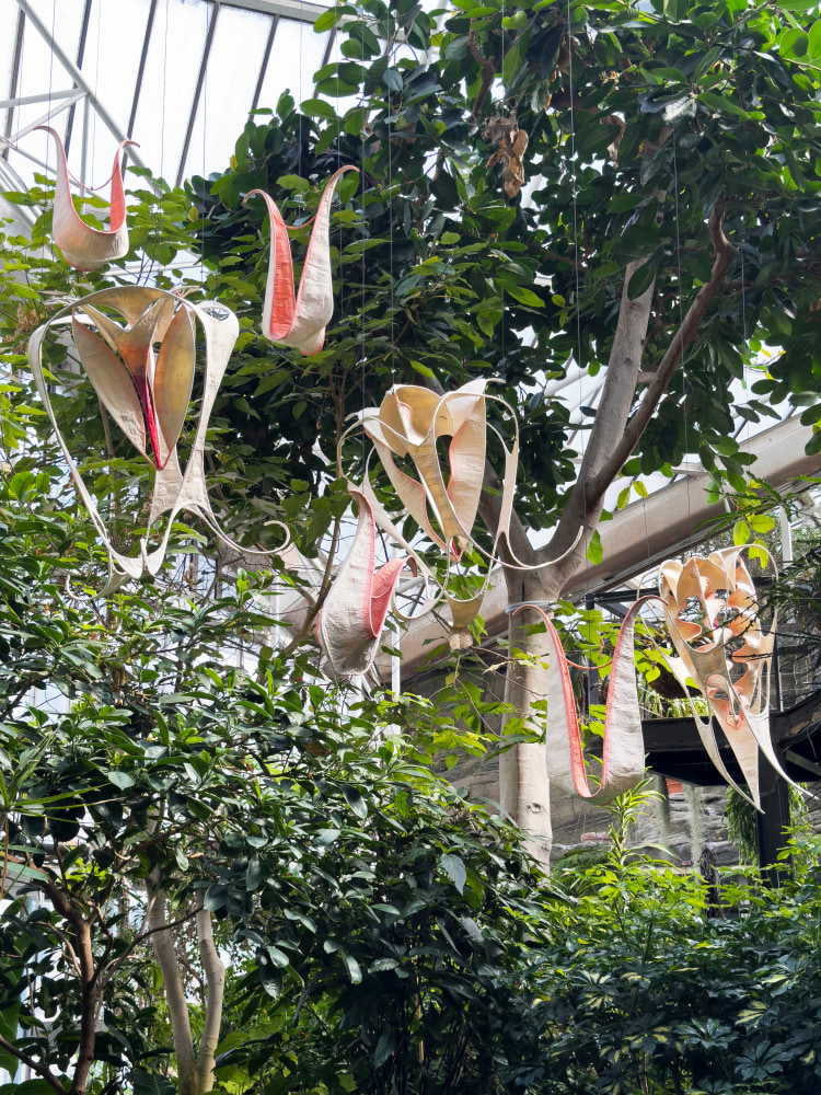 Exhibition View