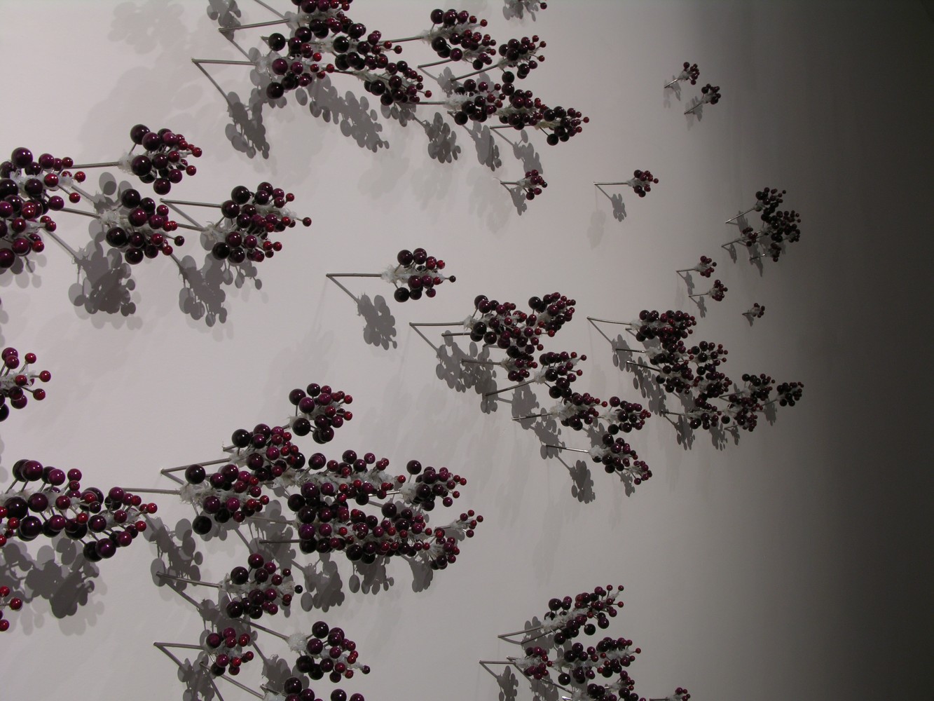 Ranjani Shettar
MAYA (Detail)