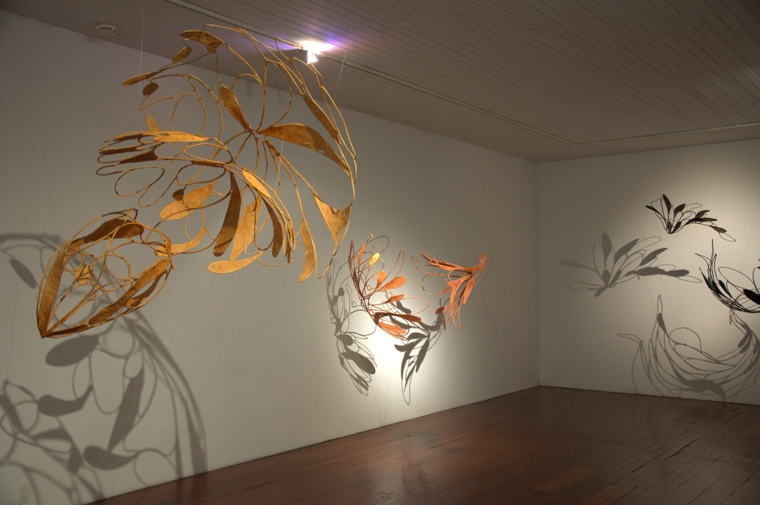 Exhibition View