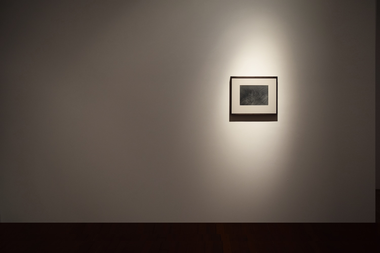 Nasreen Mohamedi