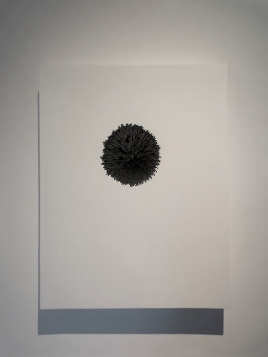 Energy Field, 2009