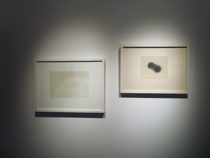 Exhibition View