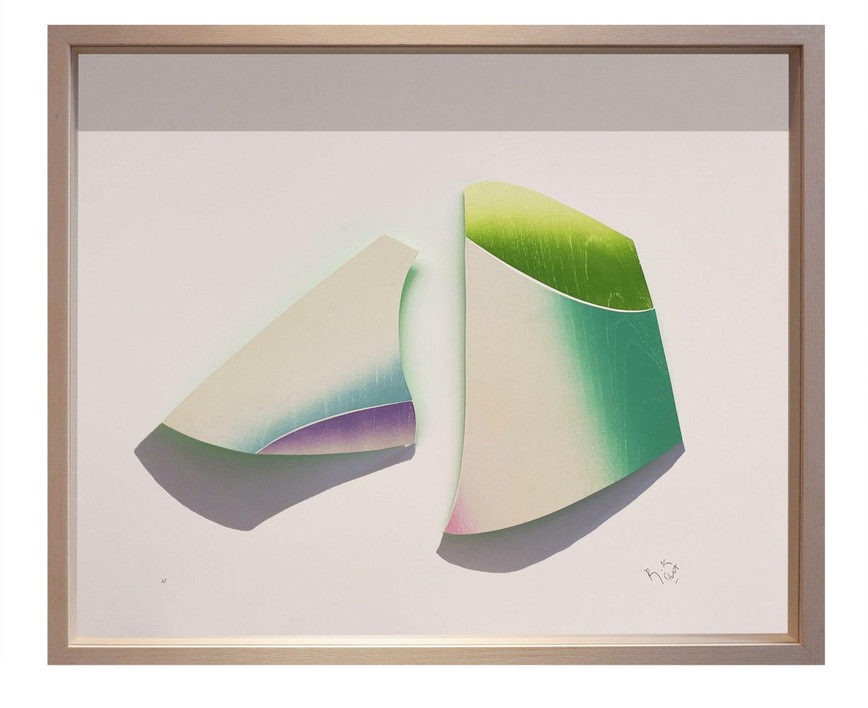 Ranjani Shettar
Conversations, 2021
Three-dimensional woodcut print and acrylic
21″ x 25 1/2″ | Framed 22" x 26 1/4"
TG# 4351