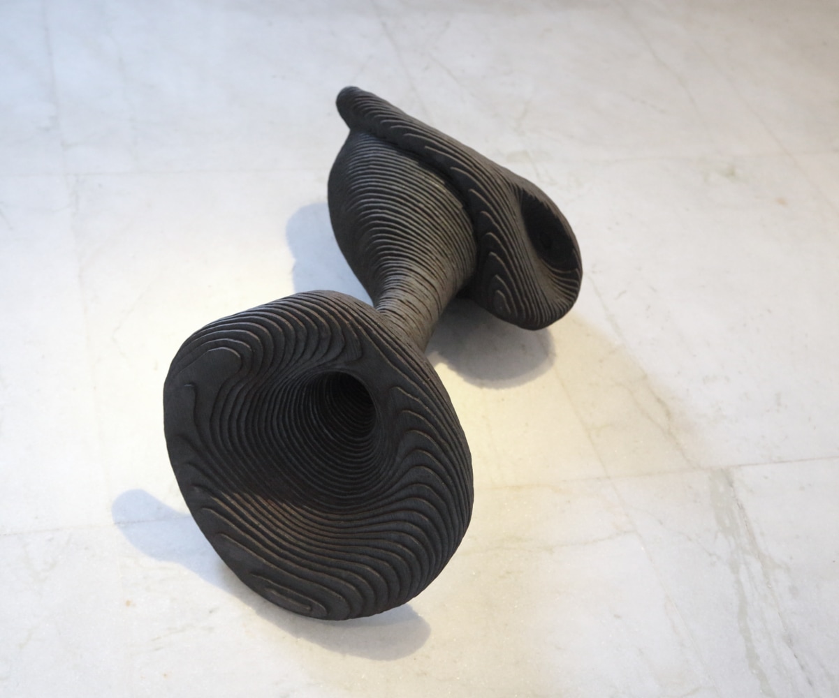 Bloom, 2014
Burnt wood, pigment & lacquer
37” x 19” x 13 1/2”