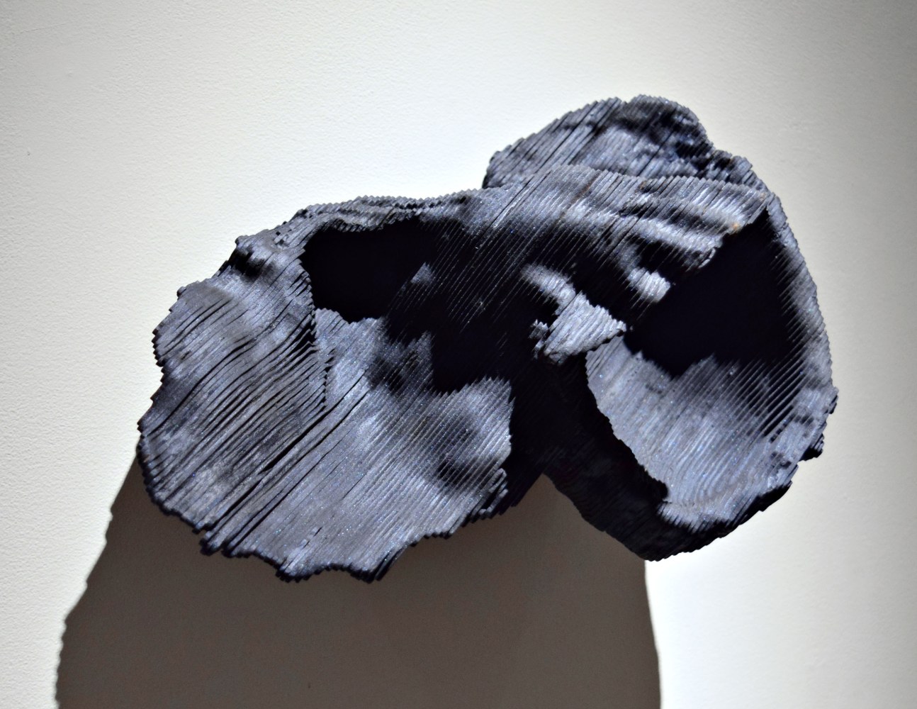 Twist in the wind, 2015