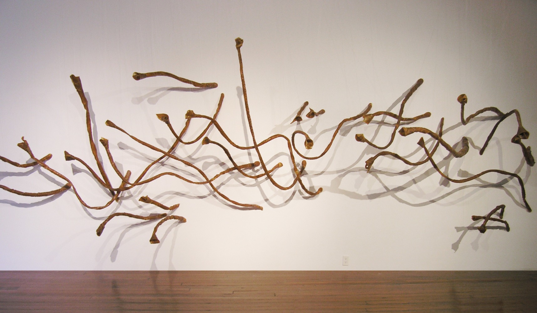 Heliotropes, 2005-11
Vulcanized Latex, cotton thread and steel
85" x 168" x 65"
Installation View | Talwar Gallery, New York | 2006