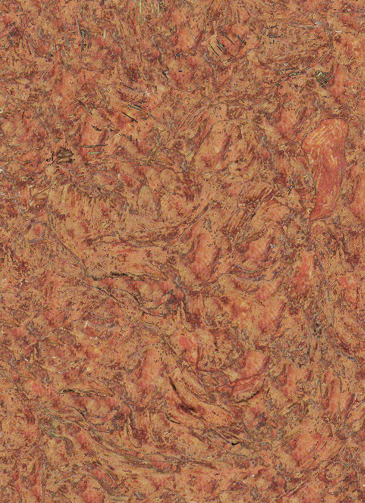 Schiele, 2010

C &amp;ndash; Print

17&amp;quot; x 13&amp;quot;