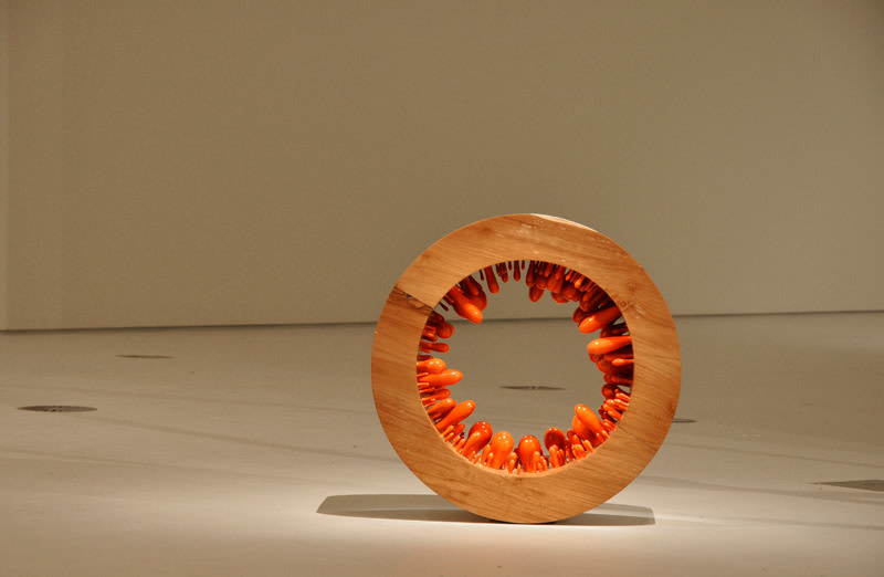 Flame of the Forest, 2011