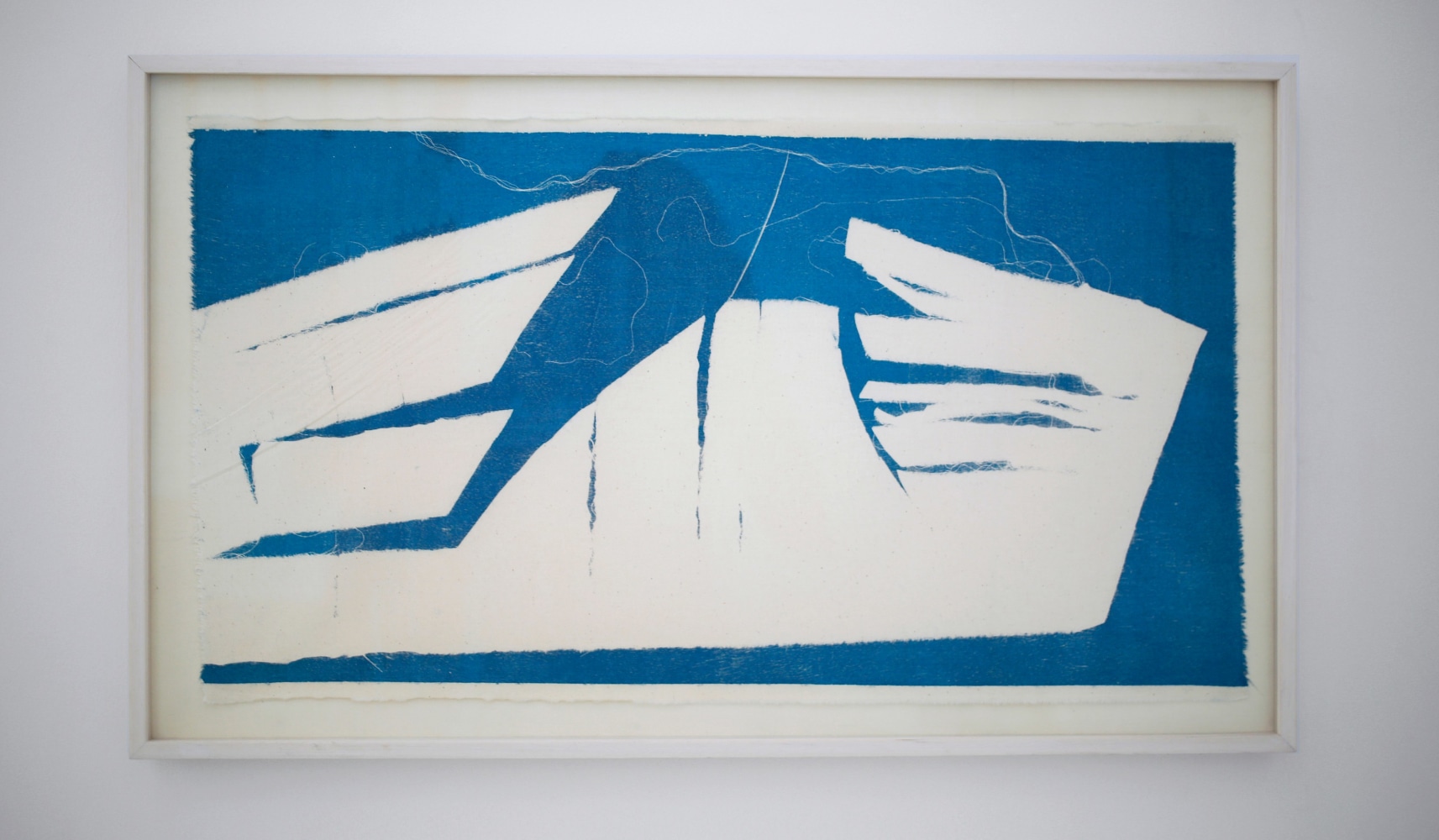 Song book VI , 2015
Monotype on Muslin
27 1/2" x 16 1/4"