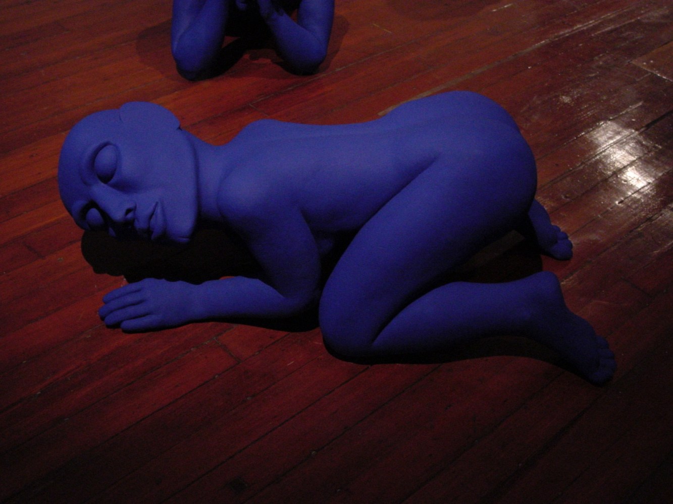 Listening to the Earth, 2002
Indigo pigment on teak wood
20" x 50" x 20"