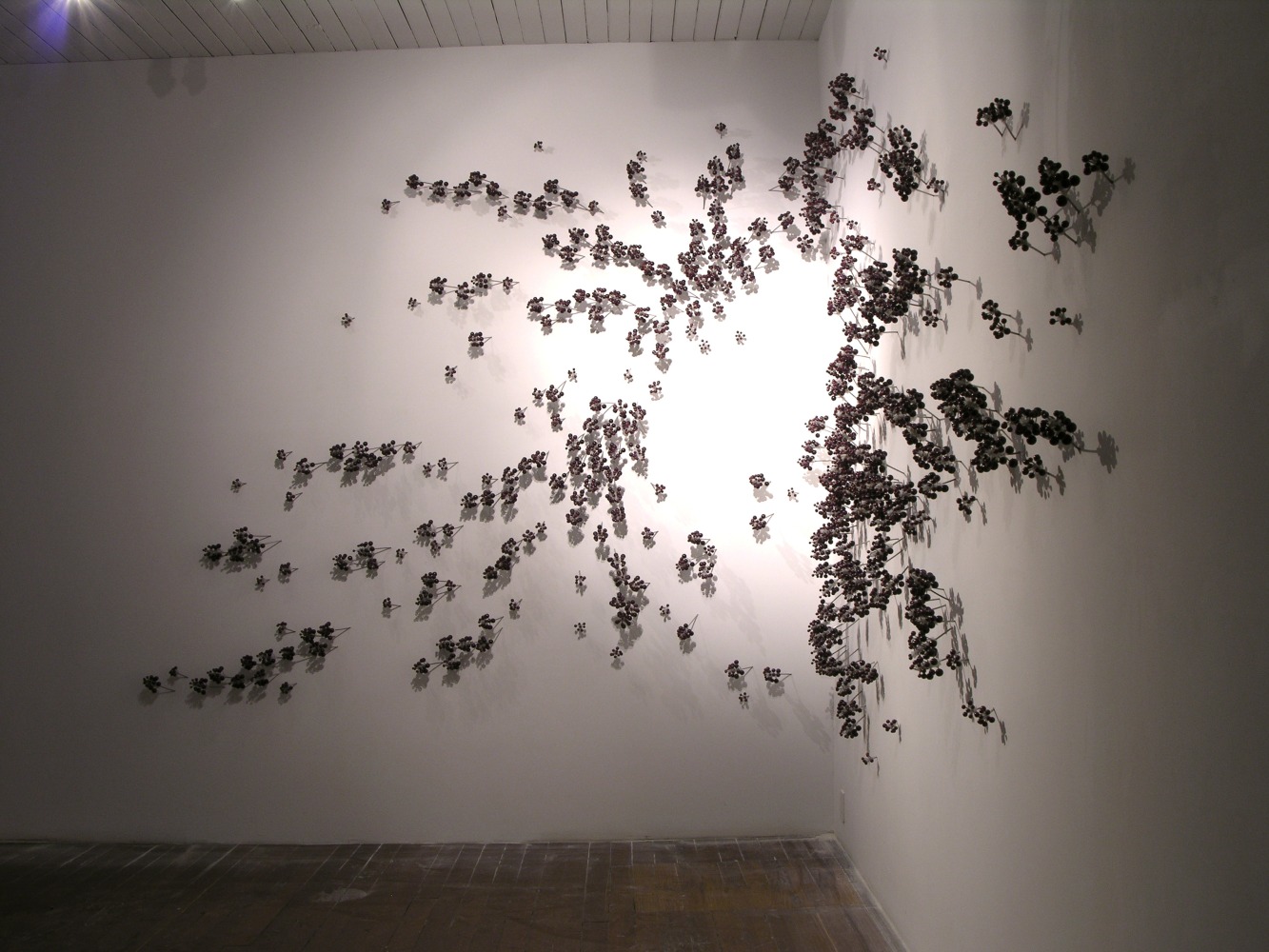 Ranjani Shettar
MAYA, 2005