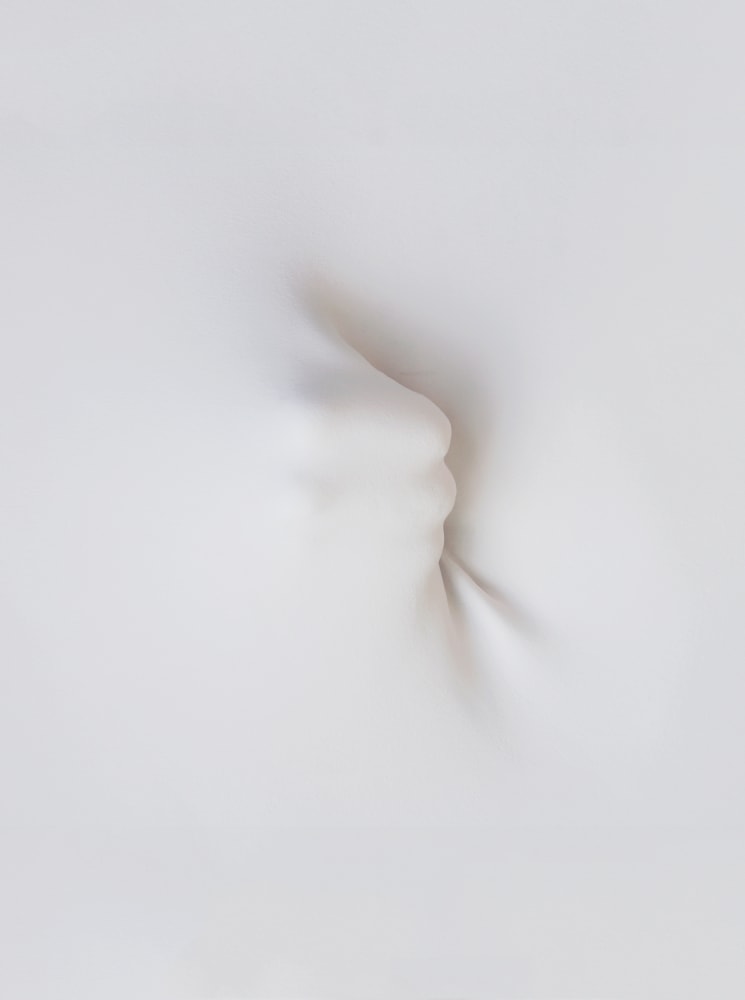 Hidden Sight (Detail)