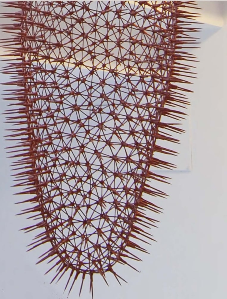 Dead-line (detail)