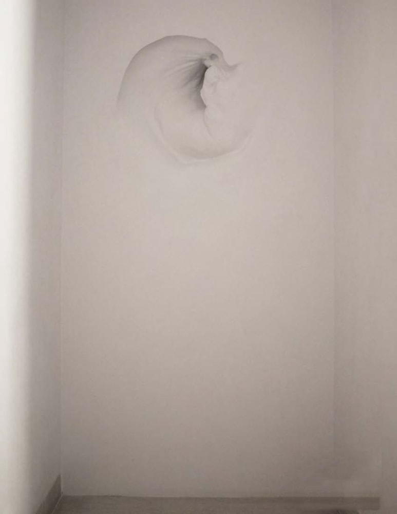 Unfold, 2011
Fiberglass and acrylic
34" x 17" x 34"