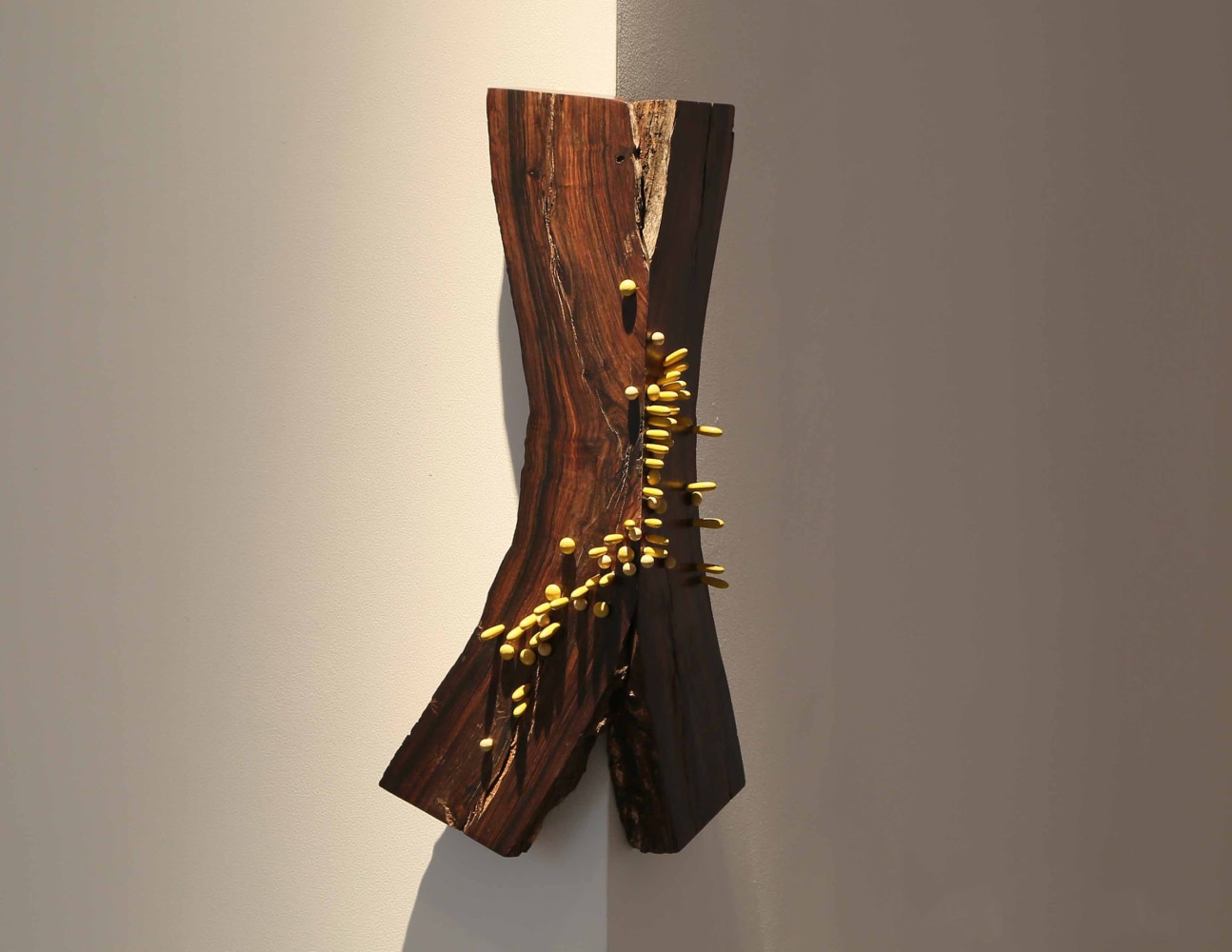 Remanence from last night’s dream, 2011
Rose & Lacquered wood
20” x 10” x 5”