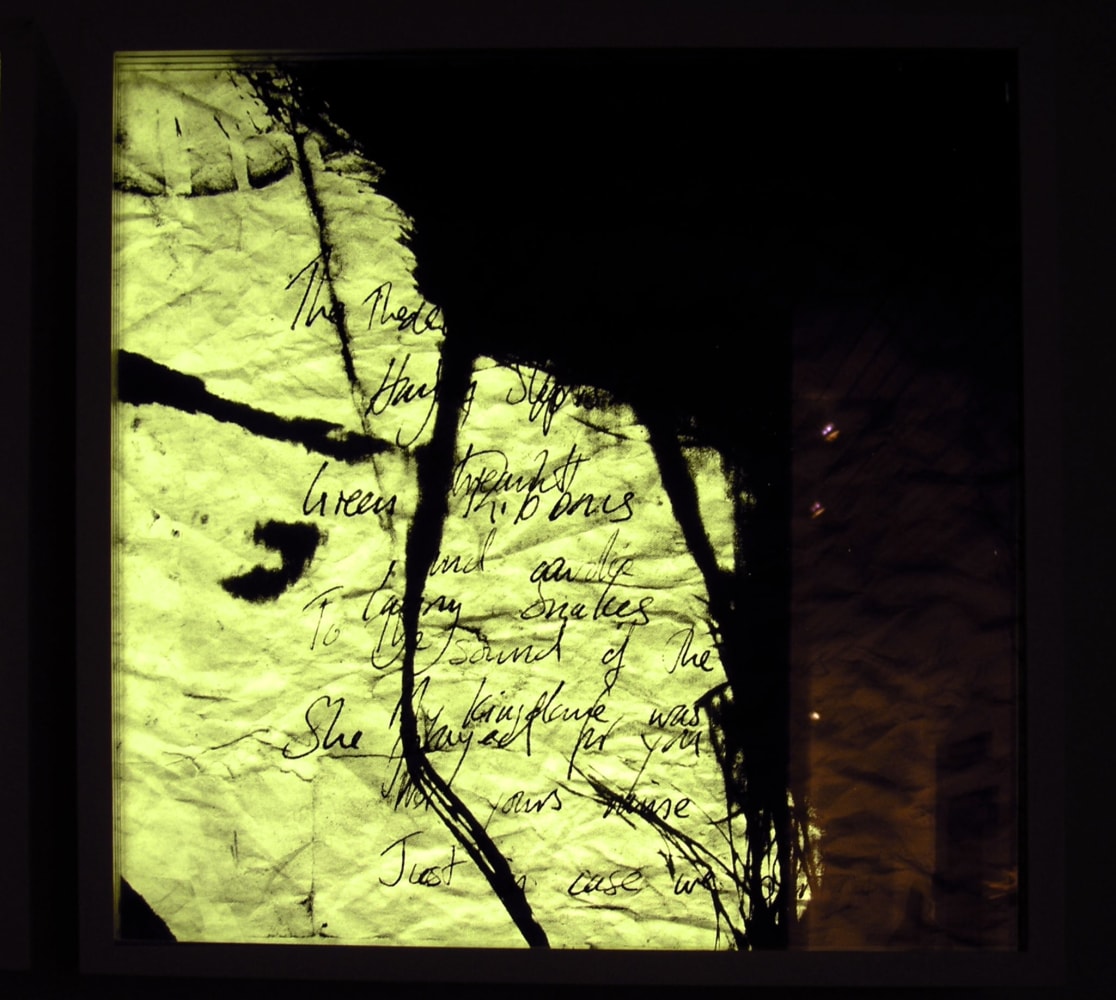 Alia Syed
1001 - Excavation Number 1 (Detail)