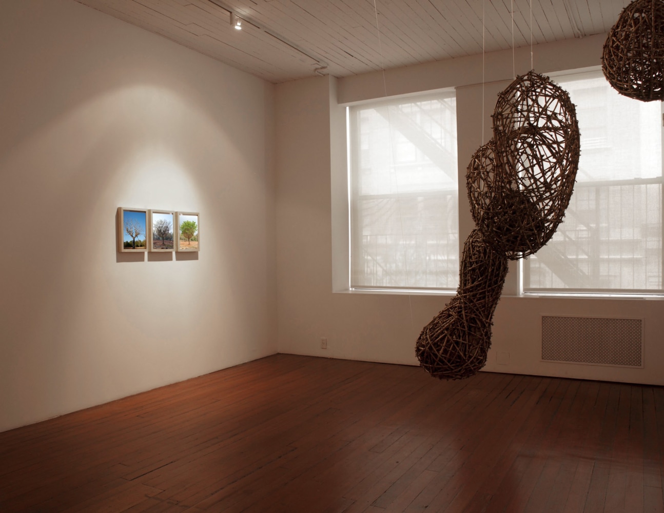 Exhibition View