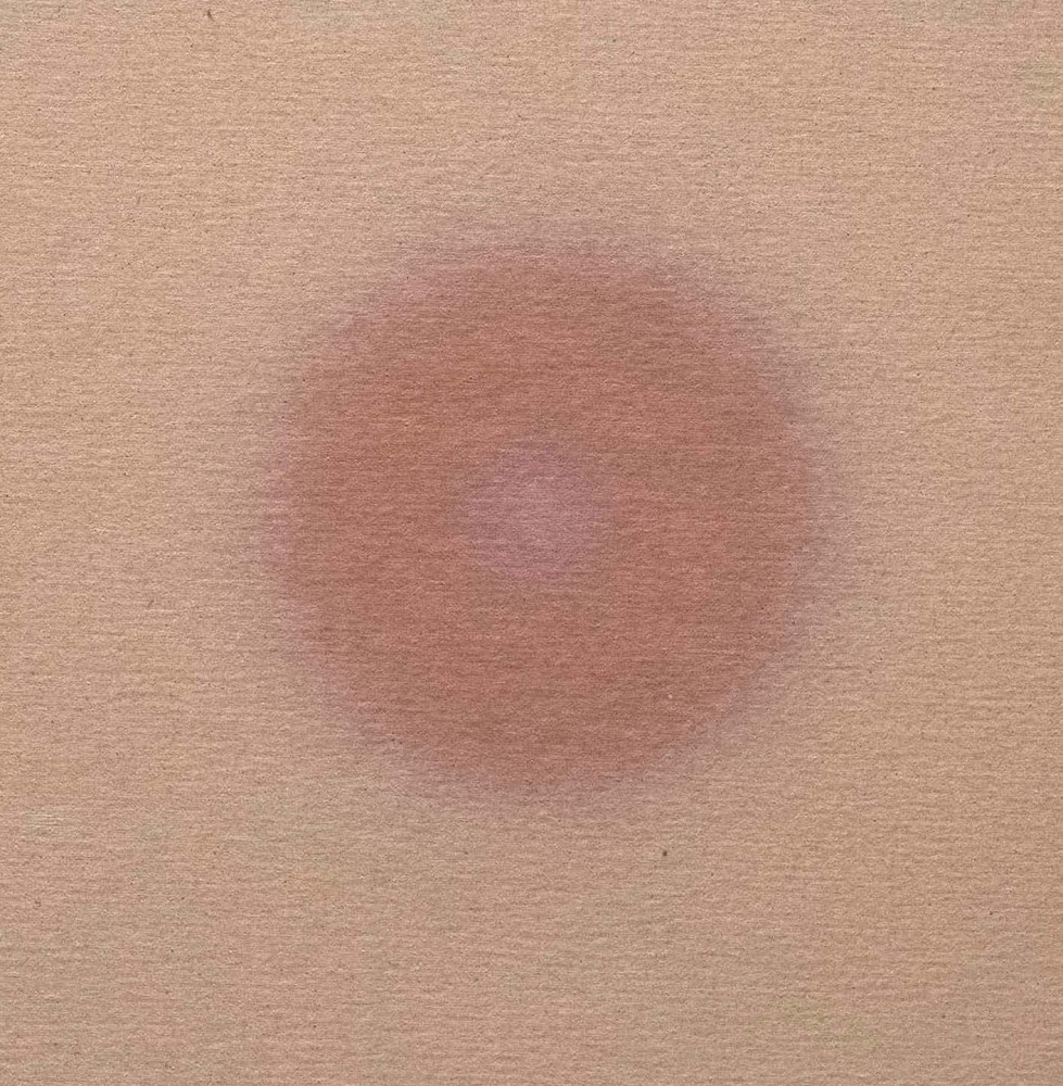Alwar Balasubramaniam
L.S. II, 2021 (Detail)