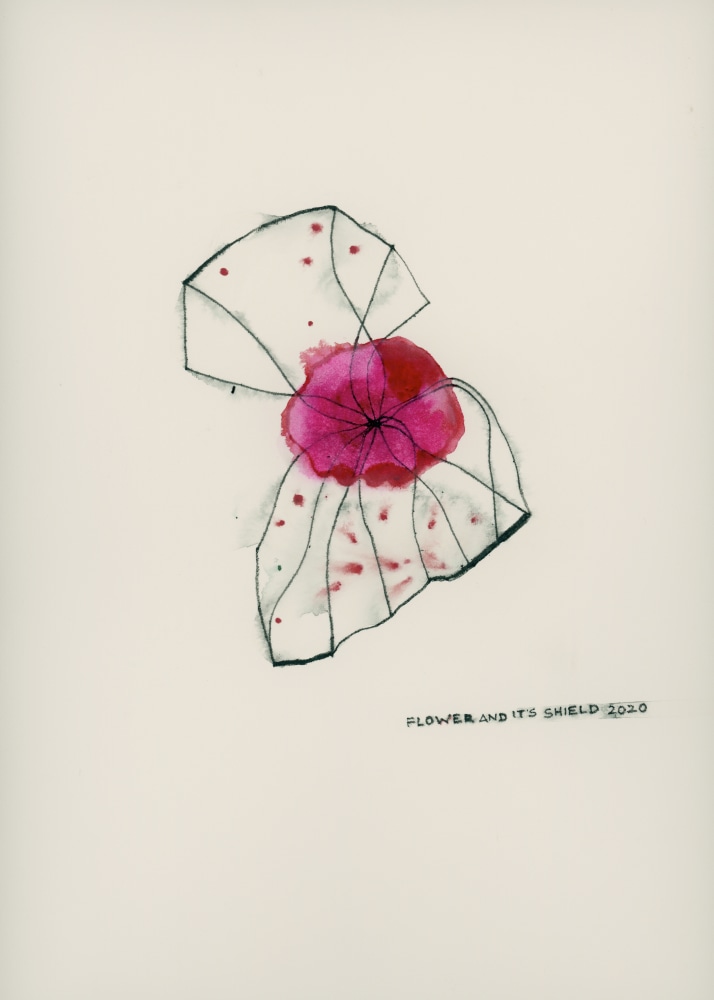Flower and it's Shield, 2020
Watercolor and pencil on paper
16.75” x 12.75”
TG 4621