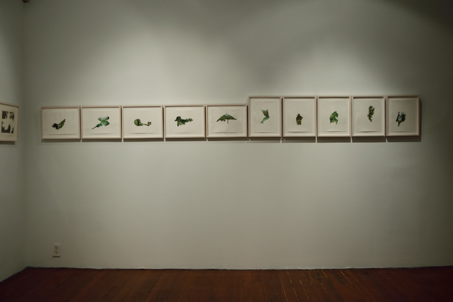 Jungle Tide, 2013
Gouache on paper
12&amp;Prime; x 9&amp;Prime; (Each of 11)