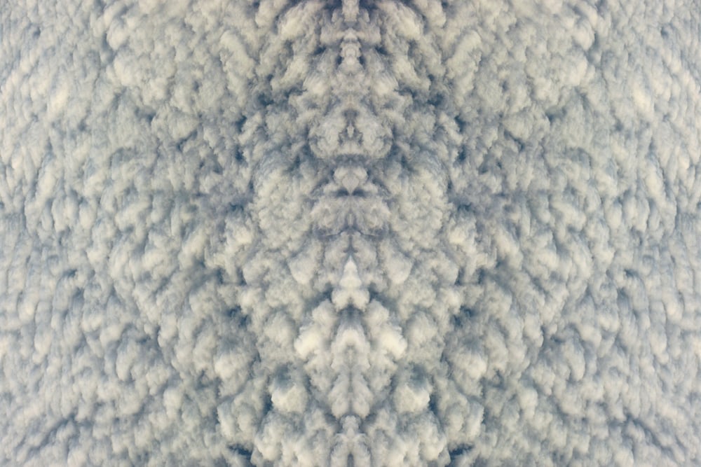 Divine1849, 2007
C Print
15 3/4" x 23 1/2"