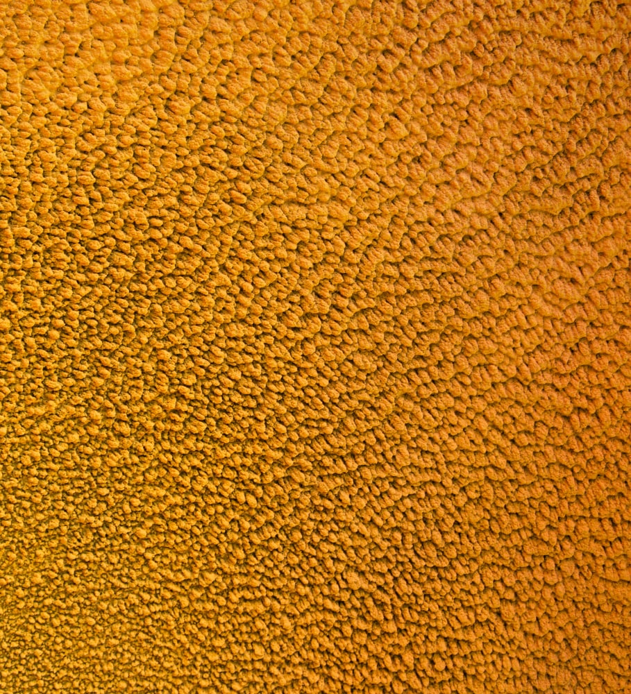 Wind Curve | 2023 (Detail)
 