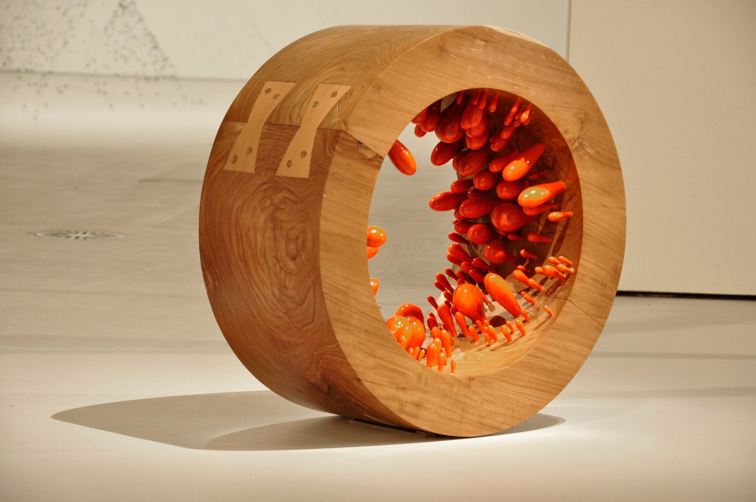 Flame of the Forest, 2011