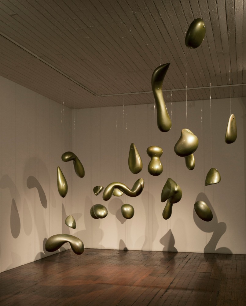 Fire in the Belly, 2007