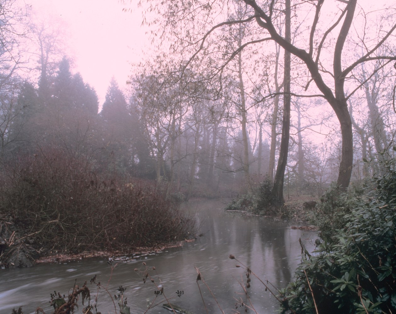 Whereas a Black Servant Boy, 1998
C Print on Aluminum
48" x 62"