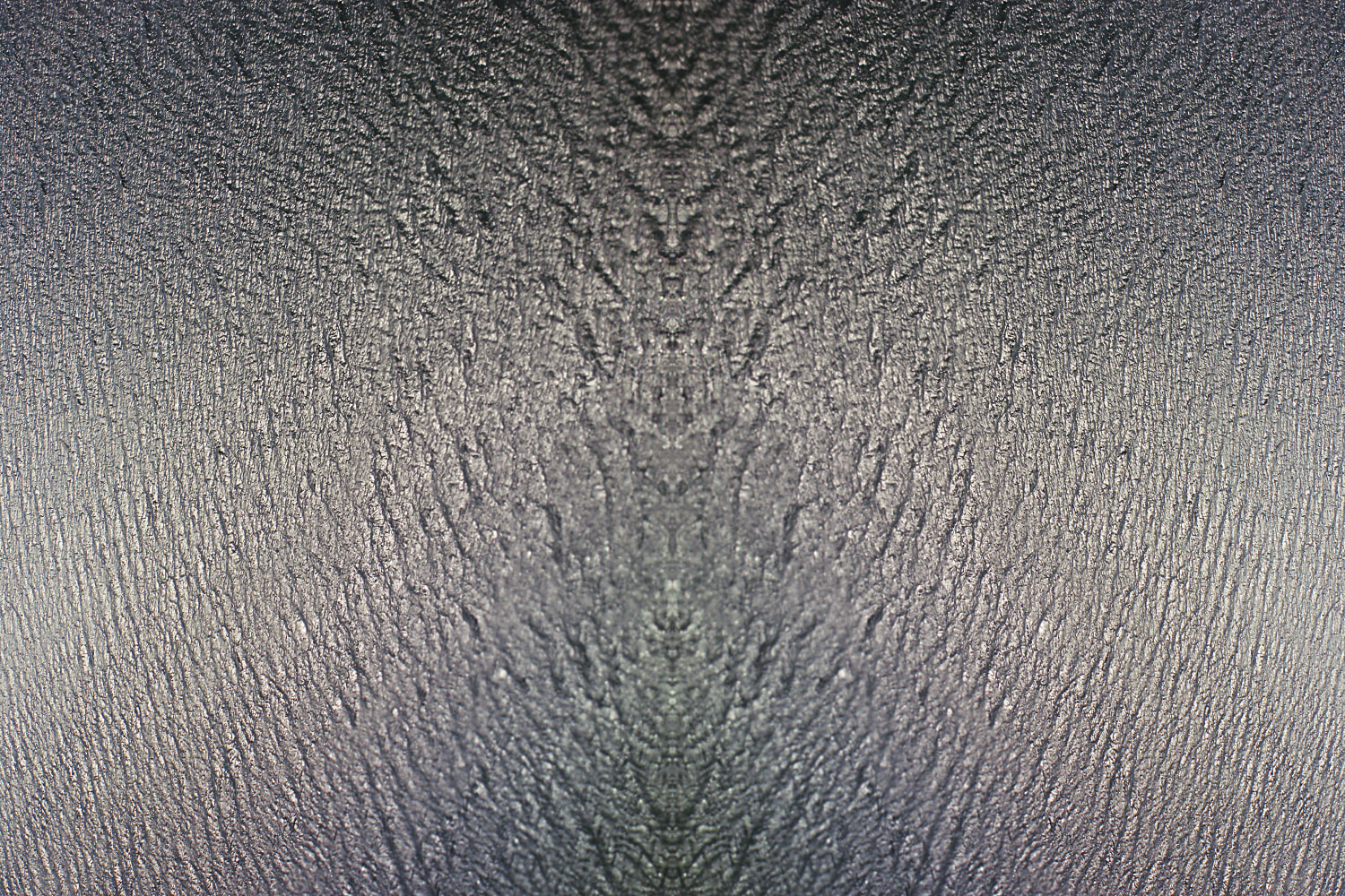Divine1573, 2007
C Print
15 3/4" x 23 1/2"