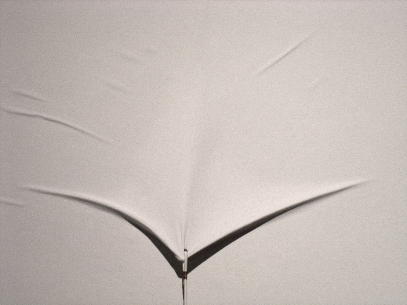 Untitled (Detail)